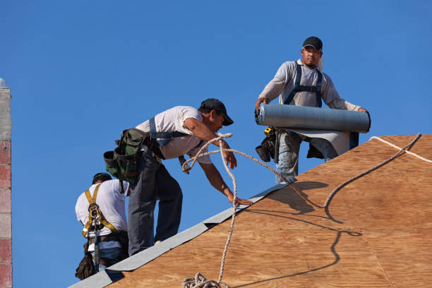 Quick and Trustworthy Emergency Roof Repair Services in Arden Hills, MN